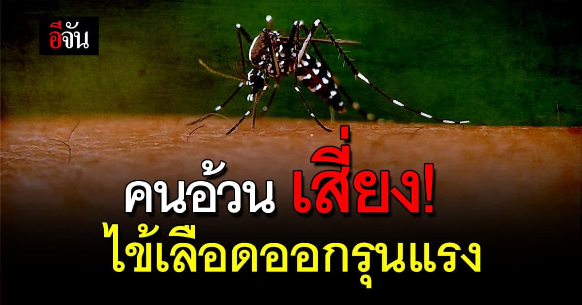 คนอ้วน เสี่ยง! เป็นไข้เลือดออกรุนแรง กว่าคนน้ำหนักปกติ