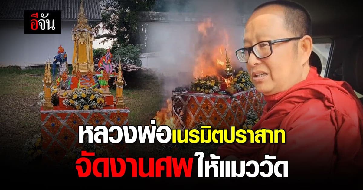 สัตว์ก็มีชีวิต หลวงพ่อจัดงานศพให้แมวจรที่วัด ตามความเชื่อล้านนา