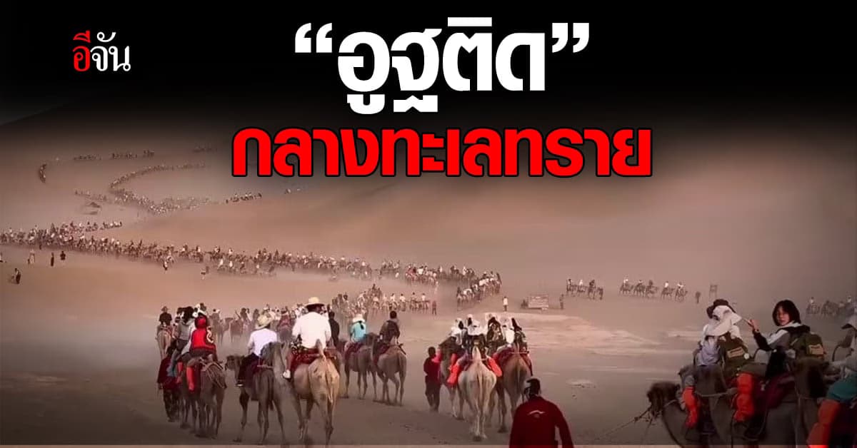 มีด้วยหรอ! ‘อูฐติดไฟแดง’ กลางทะเลทราย