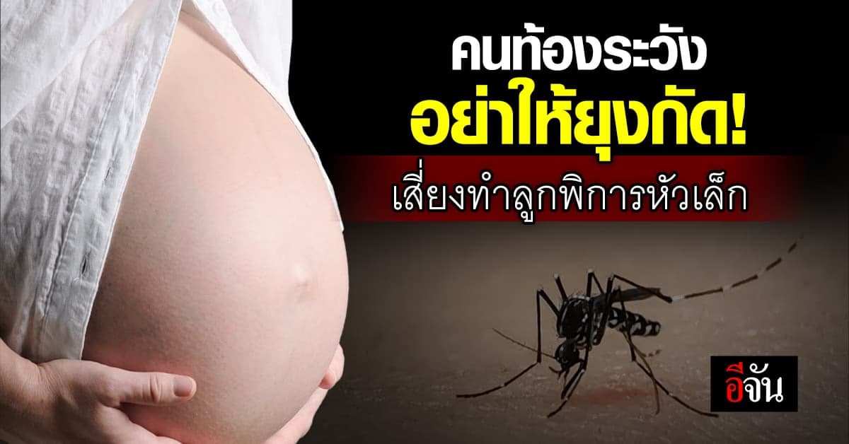 หมอแล็บฯ เตือน! คนท้อง ระวัง ยุงกัด ไวรัสอาจทำให้ ลูกพิการหัวเล็ก