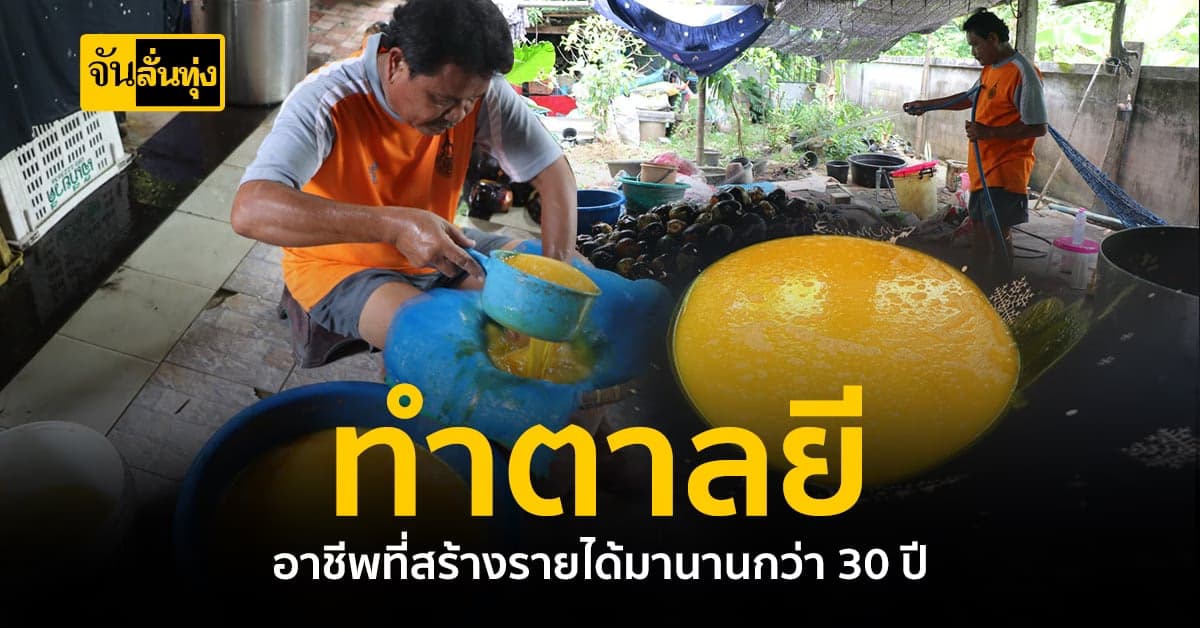 ทำตาลยี อาชีพที่สร้างรายได้ให้ครอบครัว มานานกว่า 30 ปี
