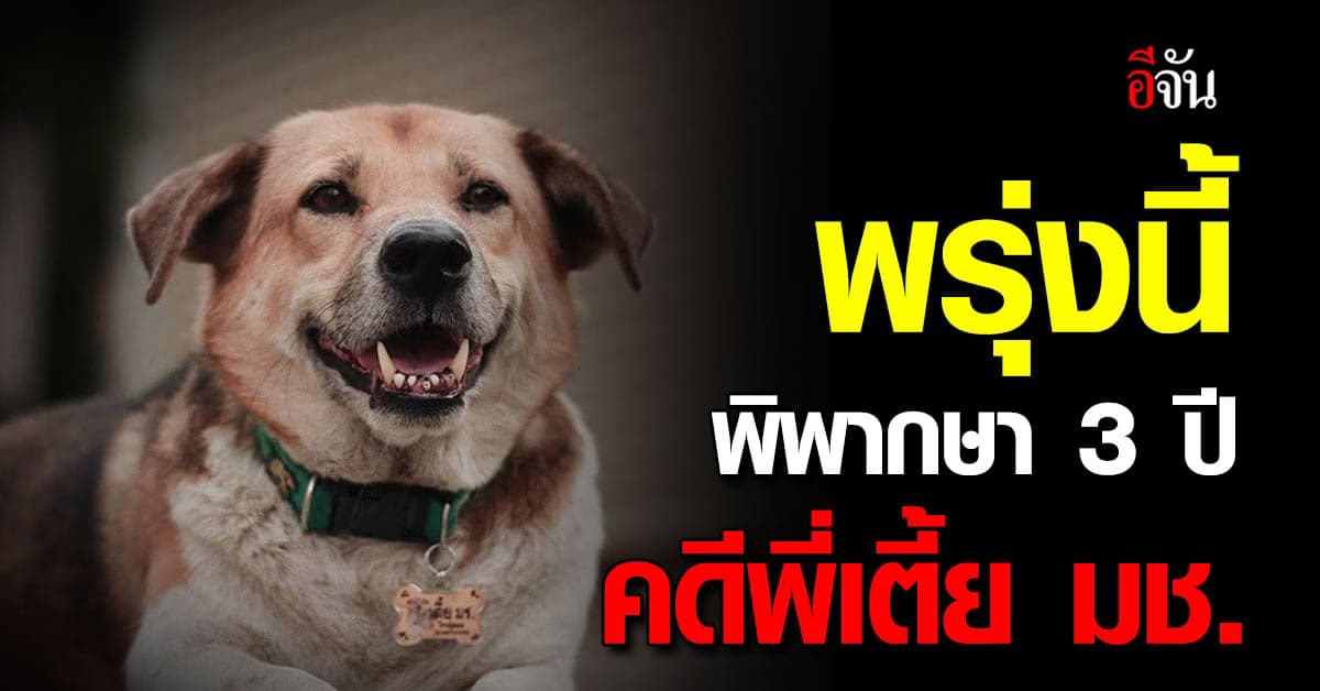 ศาลนัดพิพากษาคดี พี่เตี้ย มช. เสียชีวิตปริศนา หลังยืดเยื้อนาน 3 ปี