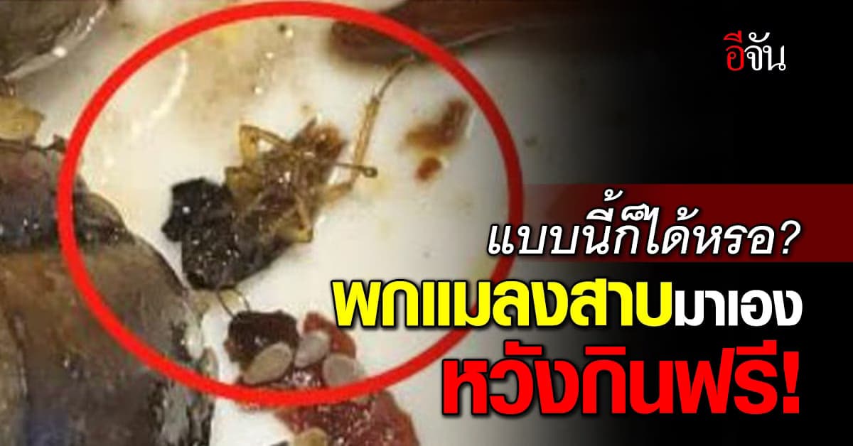 ร้านดังไหวพริบดี! จับลูกค้าใช้แมลงสาบ แบล็คเมล์ ขูดเงิน 10 เท่า