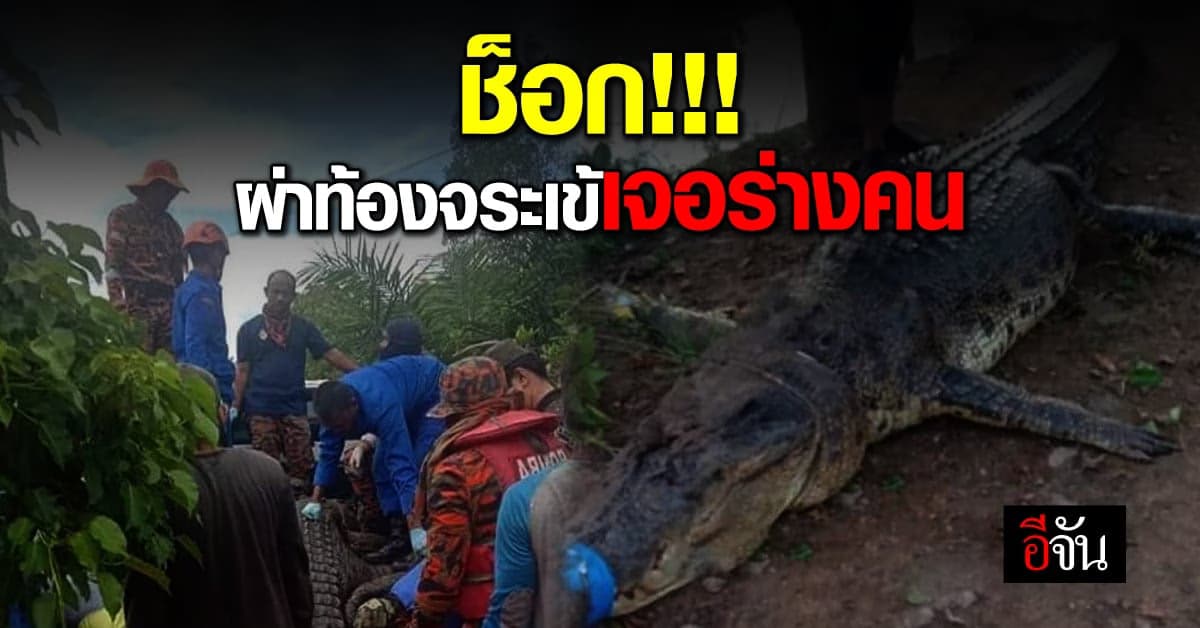 ชายวัย 60 ปี หายตัวปริศนา ก่อนพบเป็น ศพในท้อง จระเข้ยักษ์