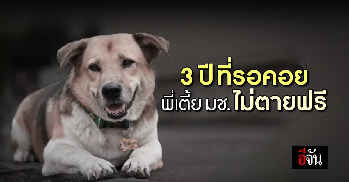 เปิดคำพิพากษา คดีพี่เตี้ย มช. ตายปริศนา 3 ปี