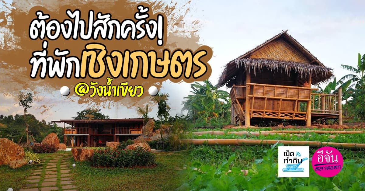 ชวนไปเที่ยว! ที่พักเชิงเกษตร View Share Farm ที่วังน้ำเขียว โคราช