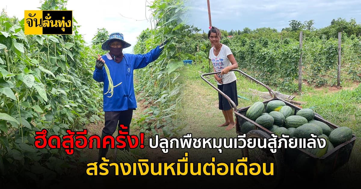 เปลี่ยนที่ดินแห้งแล้ง ปลูกพืชหมุนเวียน สร้างเงินดีหลักหมื่นต่อเดือน