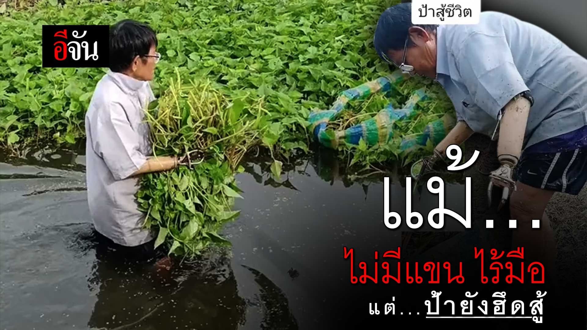 🎬 แม้ไม่มีแขน ไร้มือ แต่ป้ายังฮึดสู้