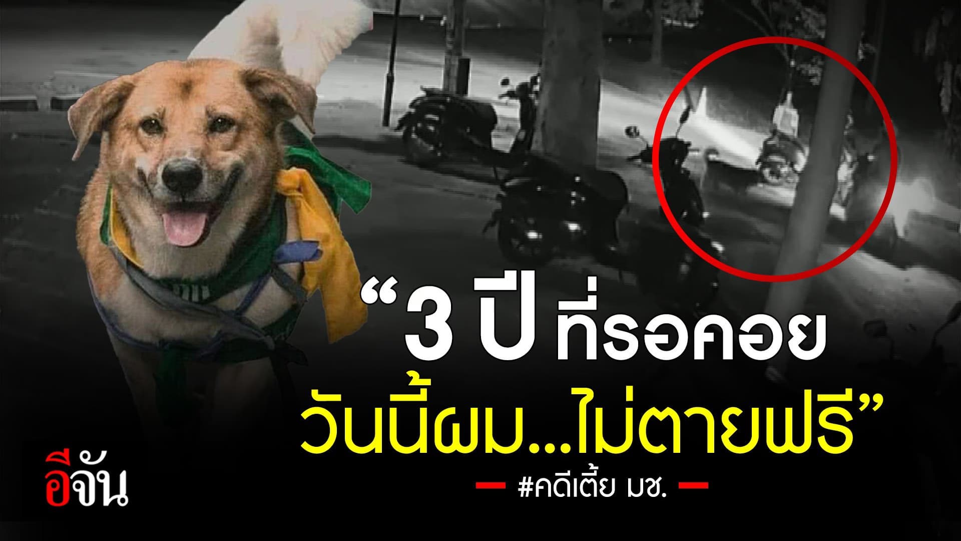 🎬 “3 ปี ที่รอคอย วันนี้ผม…ไม่ตายฟรี” คดีเตี้ย มช.