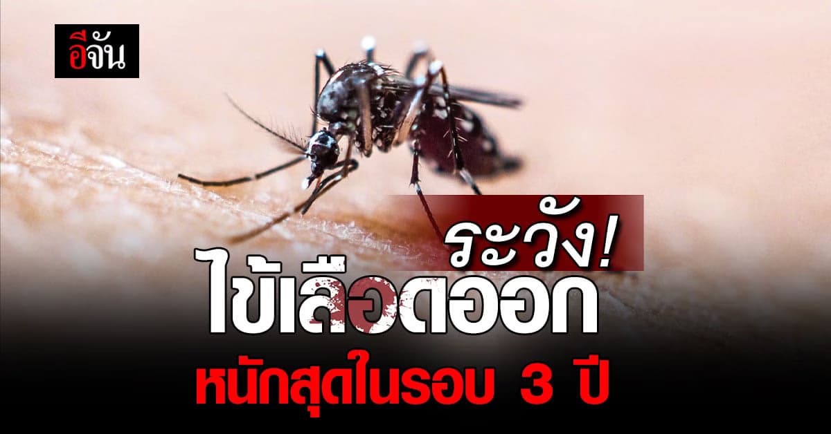 สธ.เตือนภัย! ไข้เลือดออก ระบาดหนักสุด ในรอบ 3 ปี ดับแล้ว 41 ราย