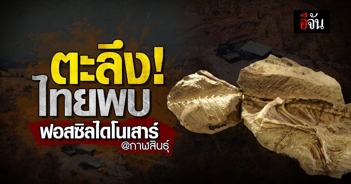 “มินิโมเคอร์เซอร์ ภูน้อยเอนซิส” ไดโนเสาร์ดึกดำบรรพ์ ตัวที่ 13 ของไทย