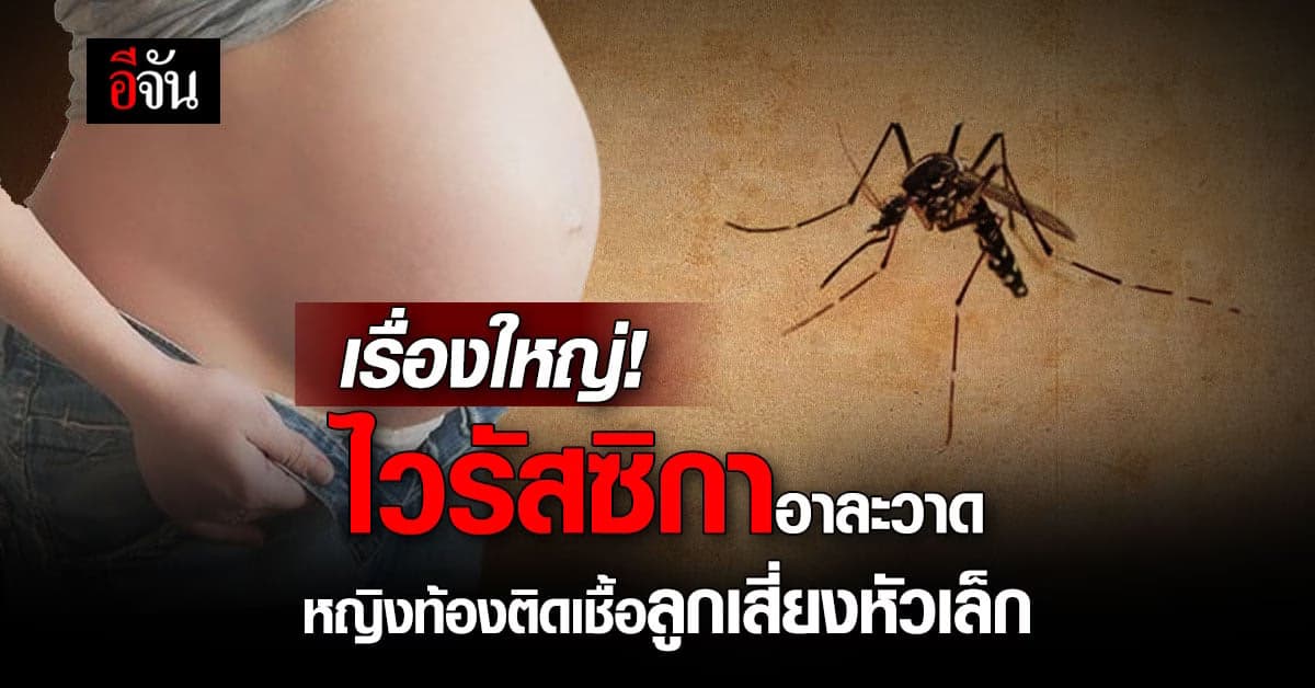 ไวรัสซิกา อาละวาด 6 เดือนติดเชื้อ110ราย คนท้องติดเชื้อลูกเสี่ยงหัวเล็ก