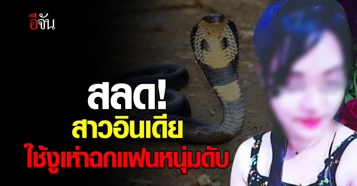 ช็อก! สาวอินเดีย ใช้งูเห่า สังหารแฟนหนุ่มนักธุรกิจ อ้างทำตามคดีดัง