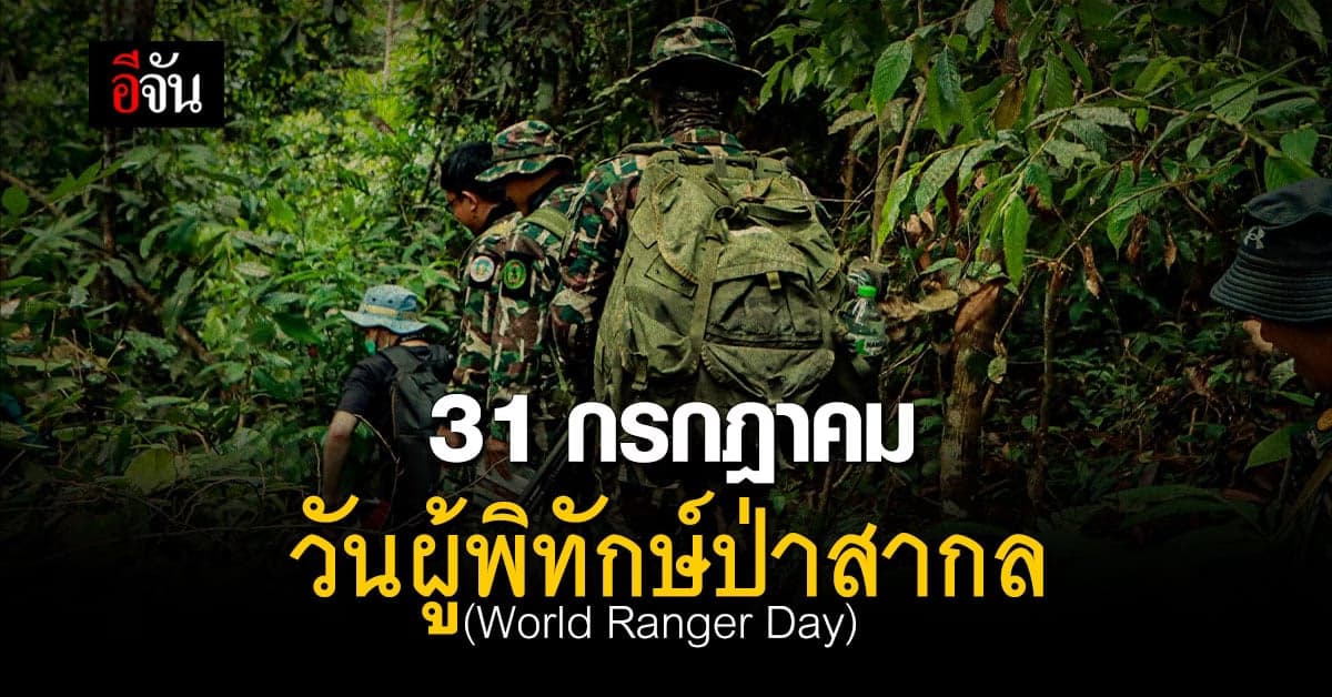 วันผู้พิทักษ์ป่าสากล 31 ก.ค. ของทุกปี