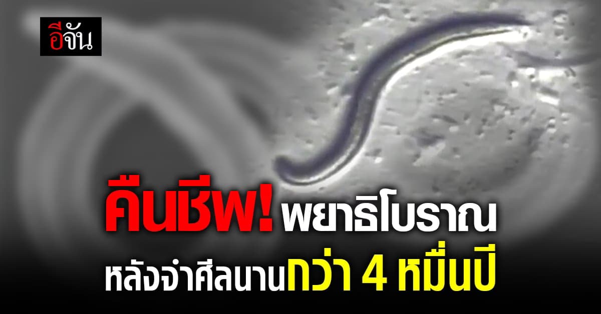 นักวิทย์ คืนชีพ “พยาธิโบราณ” หลังจำศีลนานกว่า 4 หมื่นปี