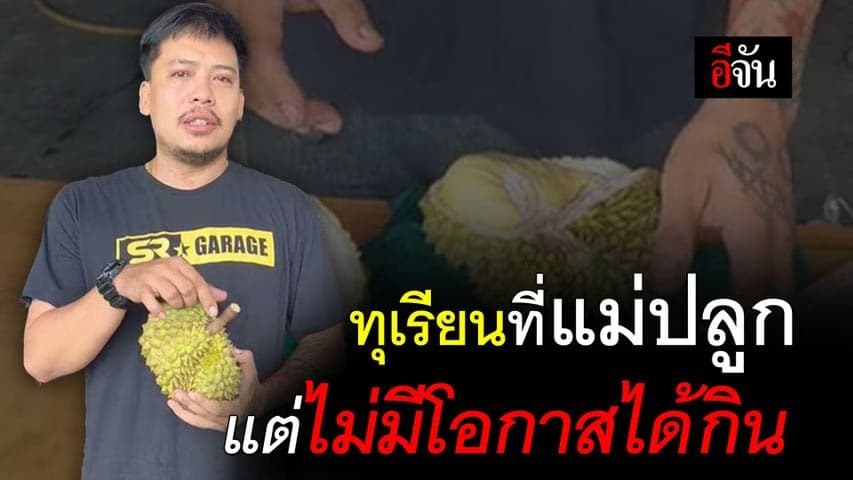 🎬 ทุเรียนที่แม่ปลูก แต่ไม่มีโอกาสได้กิน
