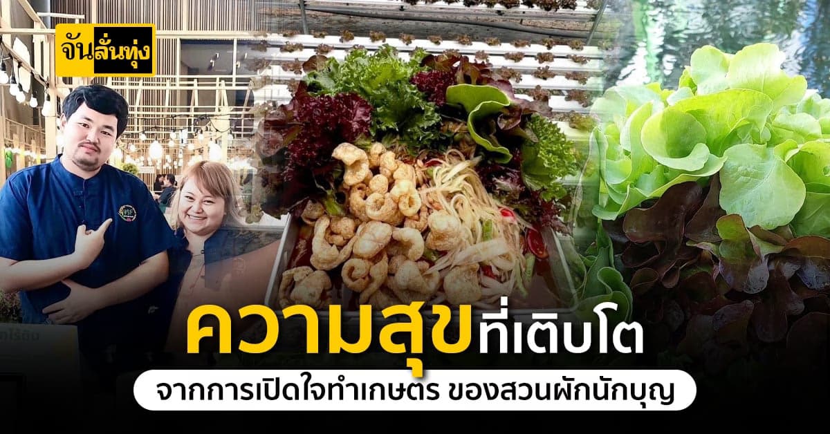 สวนผักนักบุญ ปลูกผักสลัดด้วยใจ ส่งขายสร้างรายได้หลักแสน