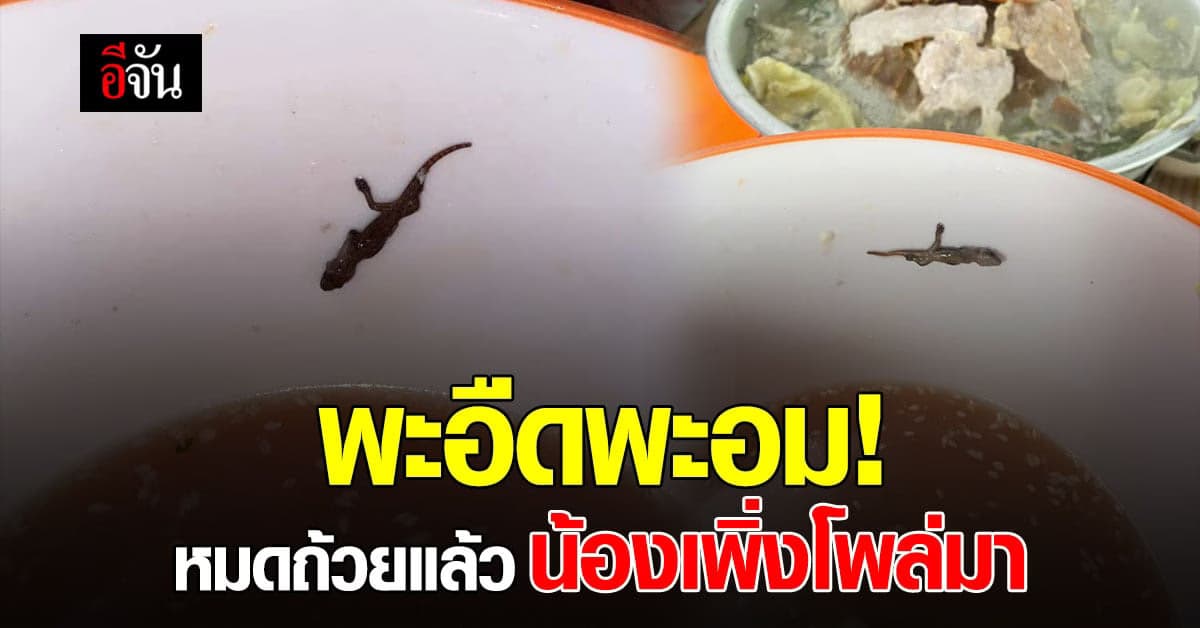 ขนลุก! เจอจิ้งจกในหมูกระทะ ตอนที่กินหมดแล้ว