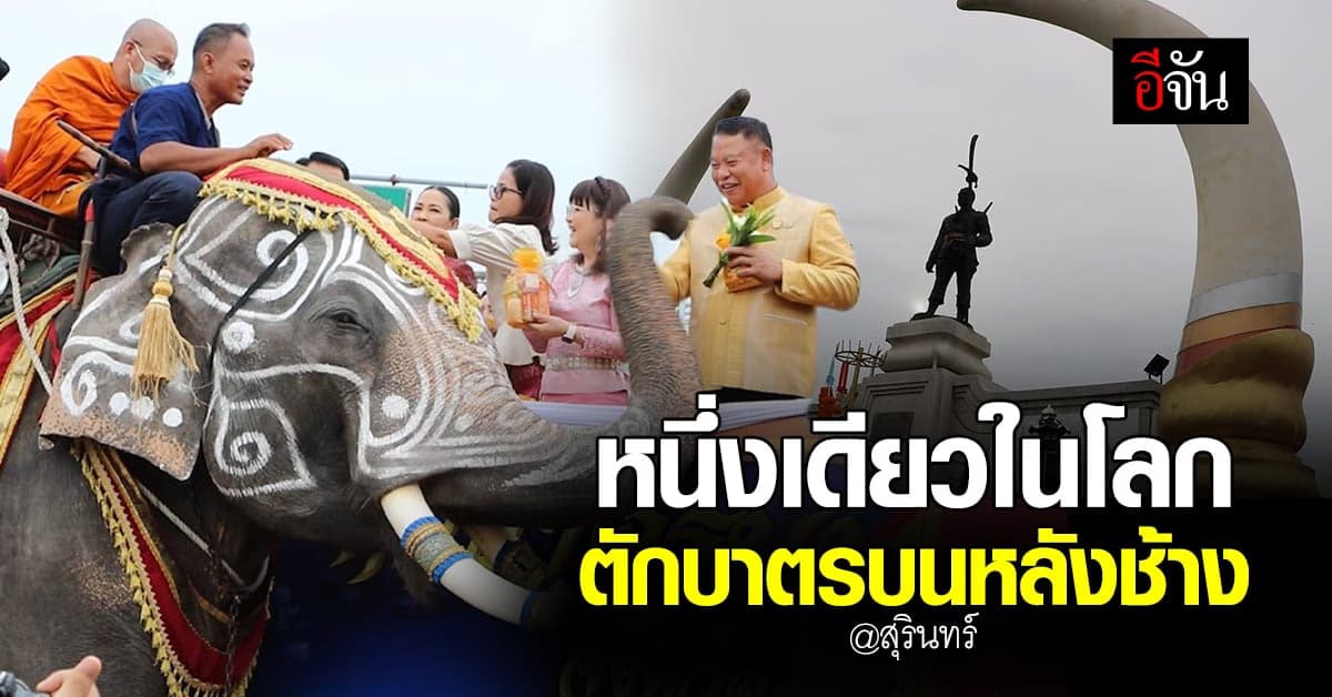 สุรินทร์ จัดพิธี ตักบาตรบนหลังช้าง ในวันอาสาฬหบูชา และ เข้าพรรษา