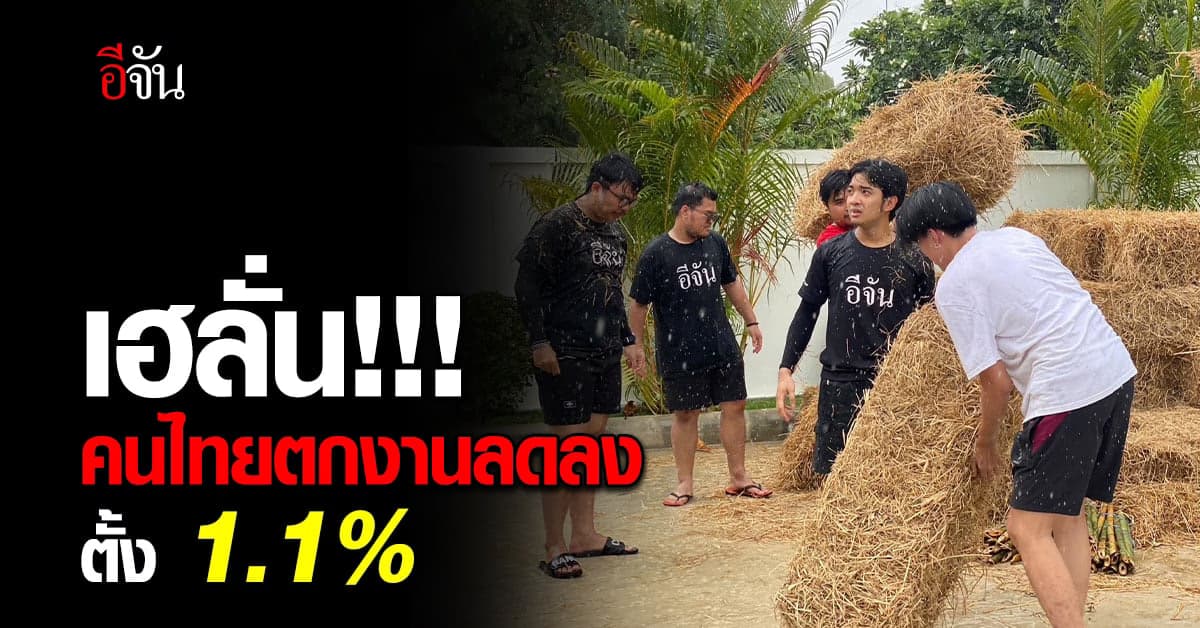 สำนักงานสถิติ เผย Q2/66 คนไทยตกงานแค่ 1.1% ทำงานเกินเวลา 9 ชม./สัปดาห์