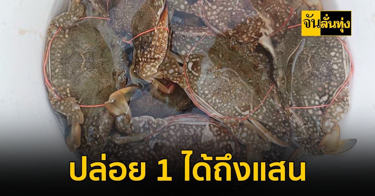 ปล่อยปูไข่ในวันนี้ ได้อีกแสนตัวในวันหน้าร่วมด้วยช่วยกัน