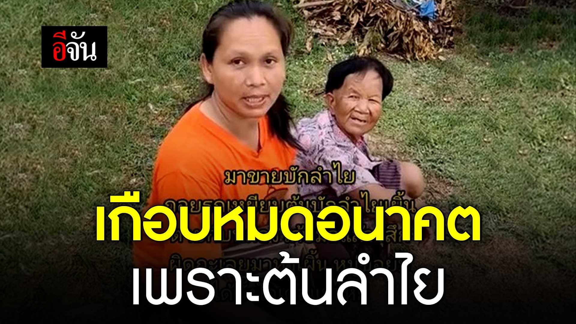 🎬 เกือบหมดอนาคต เพราะ ต้นลำไย