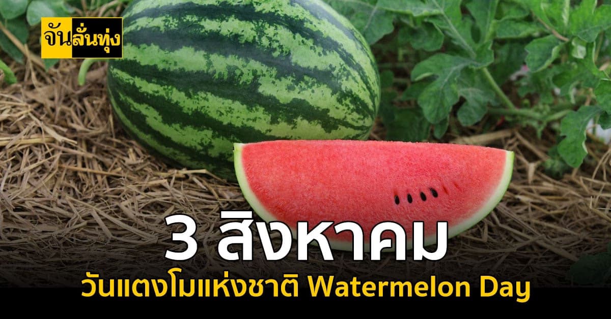 รู้หรือไม่ 3 สิงหาคม ของทุกปีคือ วันแตงโมแห่งชาติ