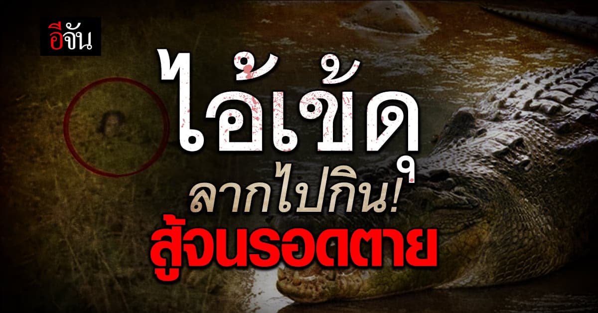สาวอินโดนีเซีย โดนจระเข้ ลากไปกิน 90 นาที สู้จนรอดตาย