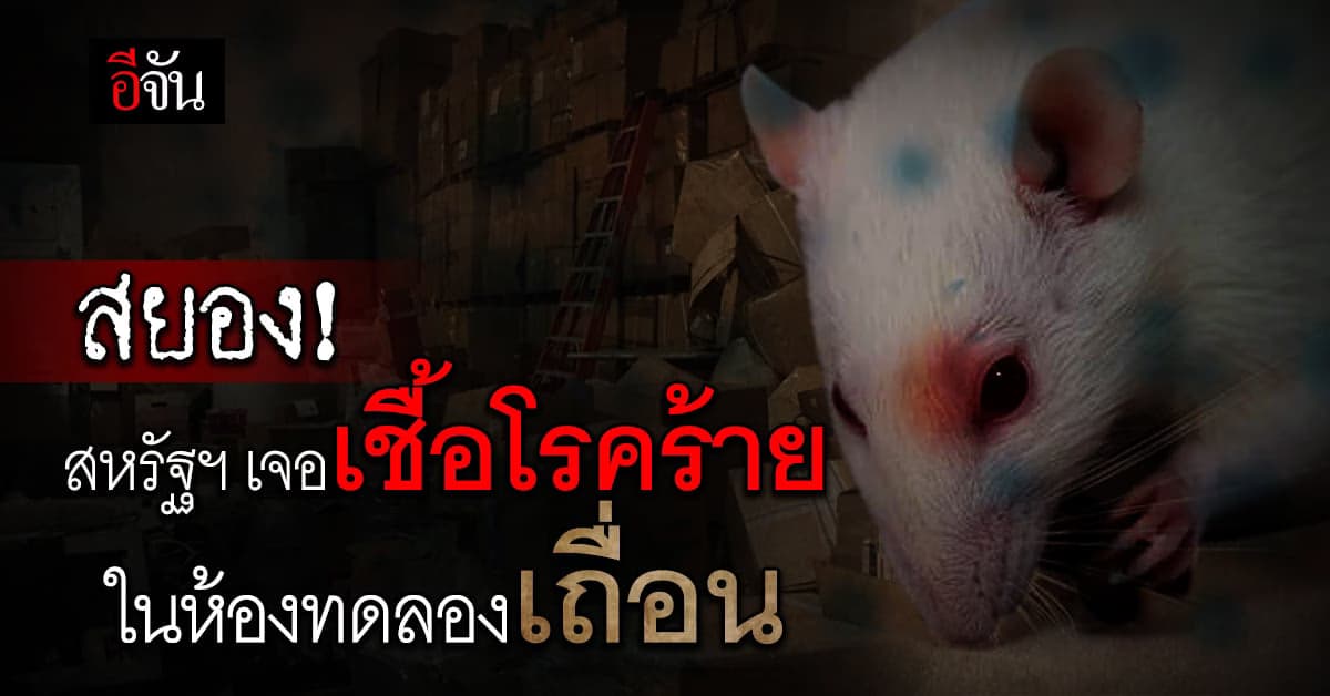 สหรัฐฯ พบห้องทดลองเถื่อน หนูทดลองและไวรัสร้ายแรงเพียบ