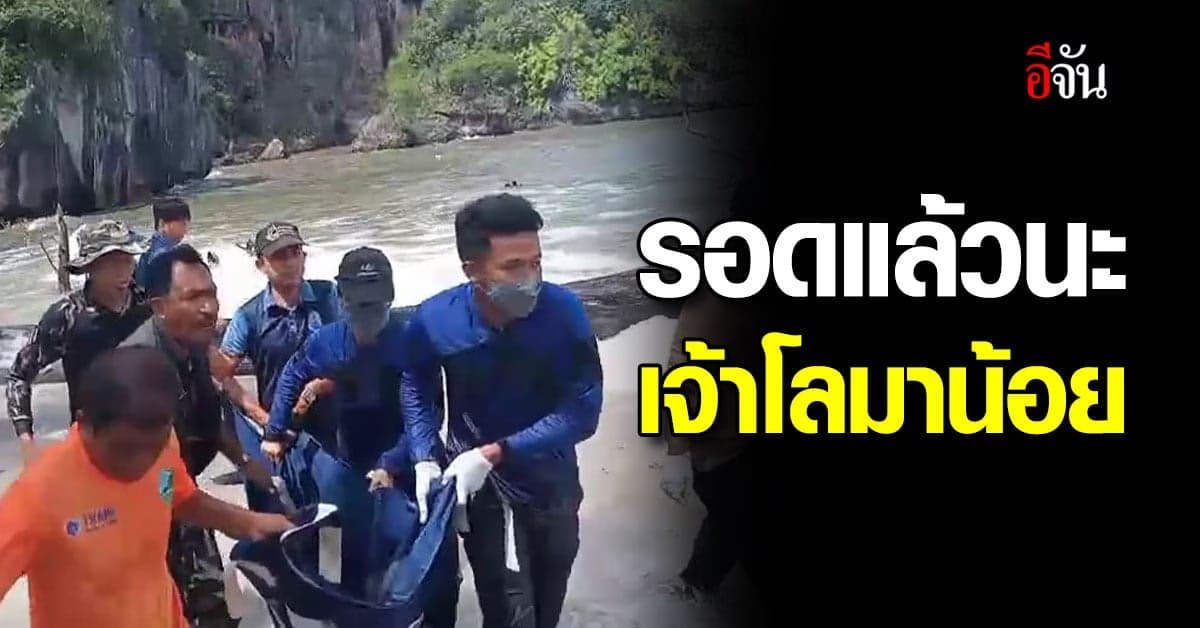 ช่วยได้ทันเวลา จนท.ได้รับแจ้งจาก พลเมืองดี ว่าเจอโลมา เกยตื้นอยู่บนหาด