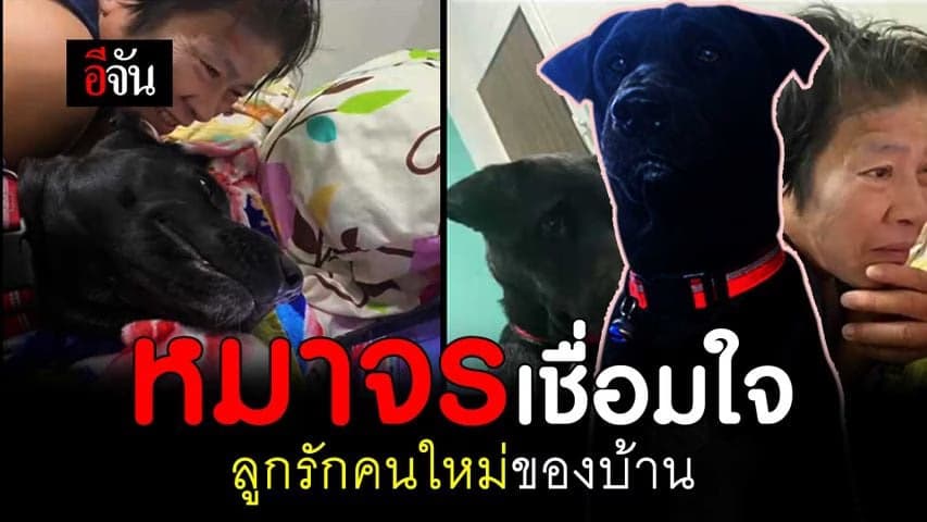 🎬 อดีตหมาจร ขึ้นแท่นลูกรักแล้วจ้า!