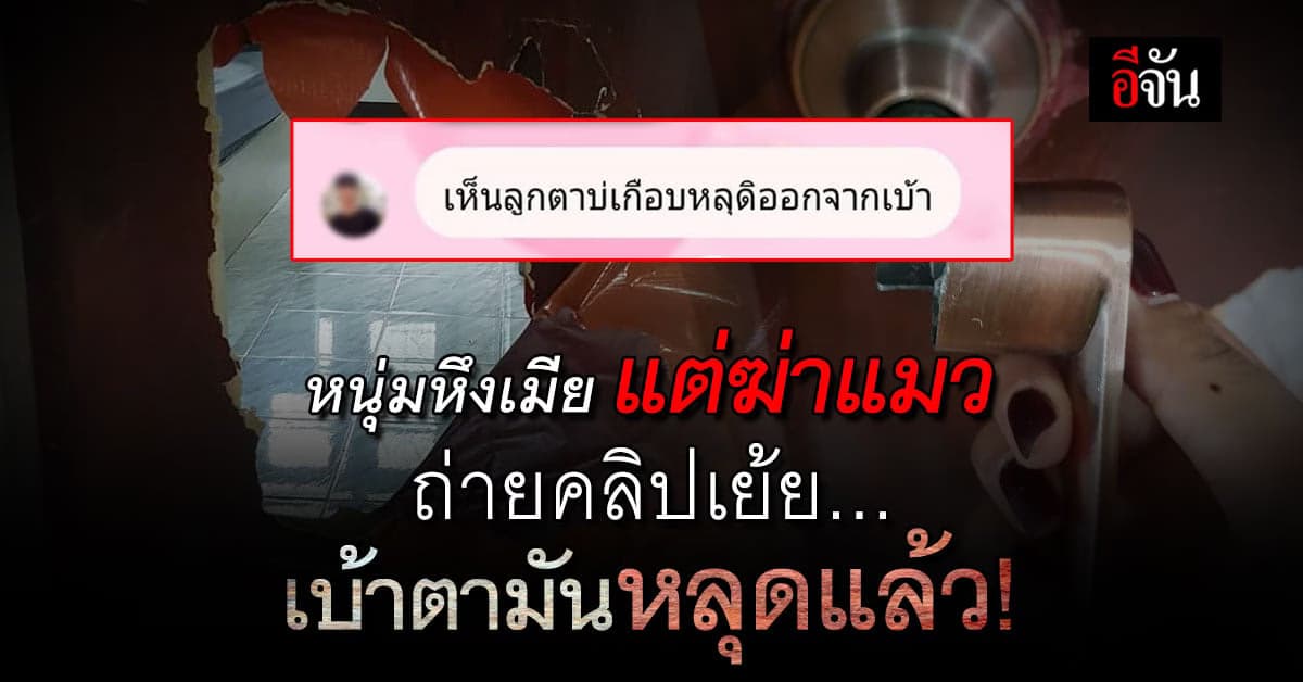 โหด! หนุ่มหึงเมีย แต่ฆ่าแมวจร ถ่ายคลิปเย้ย เบ้าตามันหลุด