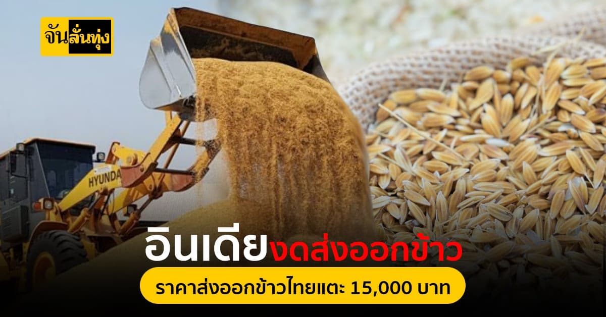ชาวนาเตรียมเฮ เตรียมปรับราคาข้าว ข้าวหอมมะลิราคาแตะ 15,000 บาท/ตัน