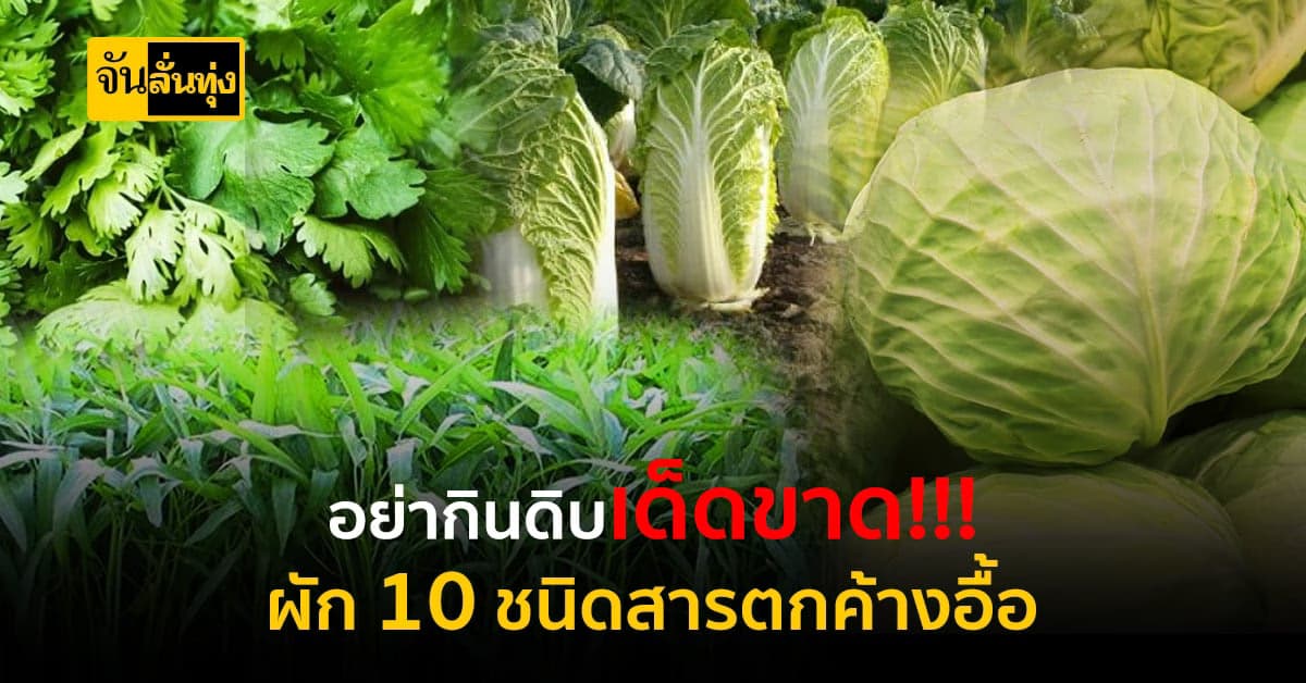 ผัก 10 ชนิดสารตกค้างเยอะที่สุดเสี่ยงหัวใจวายและมะเร็ง