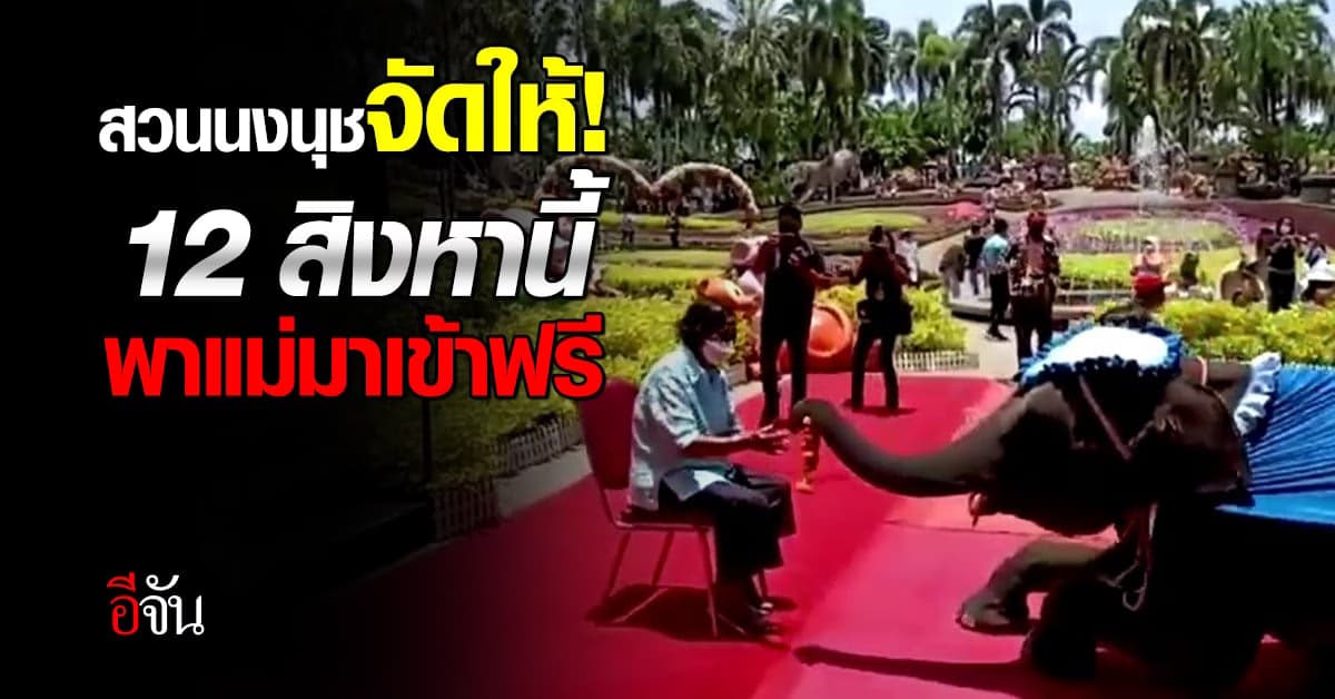 สวนนงนุช จัด โปรเดือดๆ แค่พาแม่มาเที่ยว ก็ได้เข้าชม สวนสวยๆ ฟรี