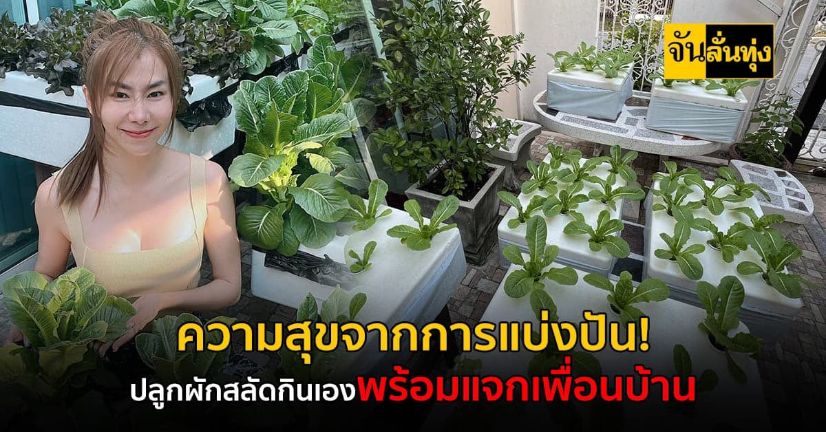 ปลูกผักสลัดกินเองและแบ่งเพื่อน ฮีลใจเสพความสุขระหว่างปลูก