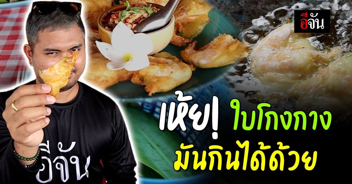 ใบโกงกางชุบแป้งทอด คลองลัดโนด ระนอง โคตรอร่อย