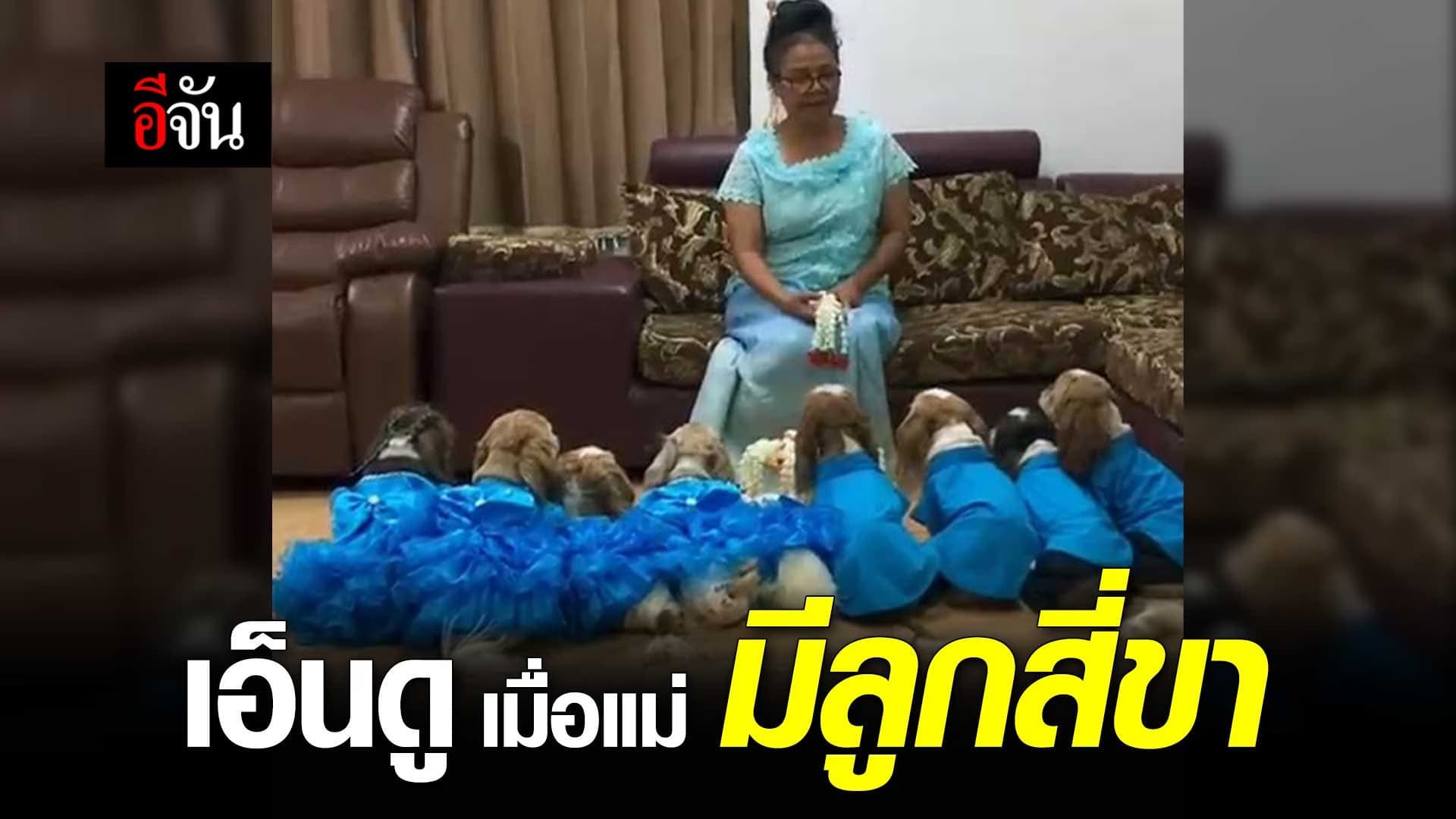 🎬 เอ็นดู เมื่อแม่มีลูกสี่ขา