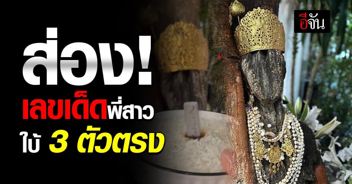 ส่อง! เลขเด็ดพี่สาวต้นไม้ สิ่งศักดิ์ดัง โลก TikTok