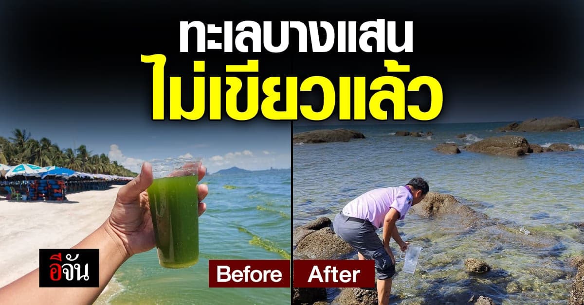 ทะเลบางแสน ไม่เขียวแล้ว กรมควบคุมมลพิษ ยัน คืนสู่ภาวะปกติ