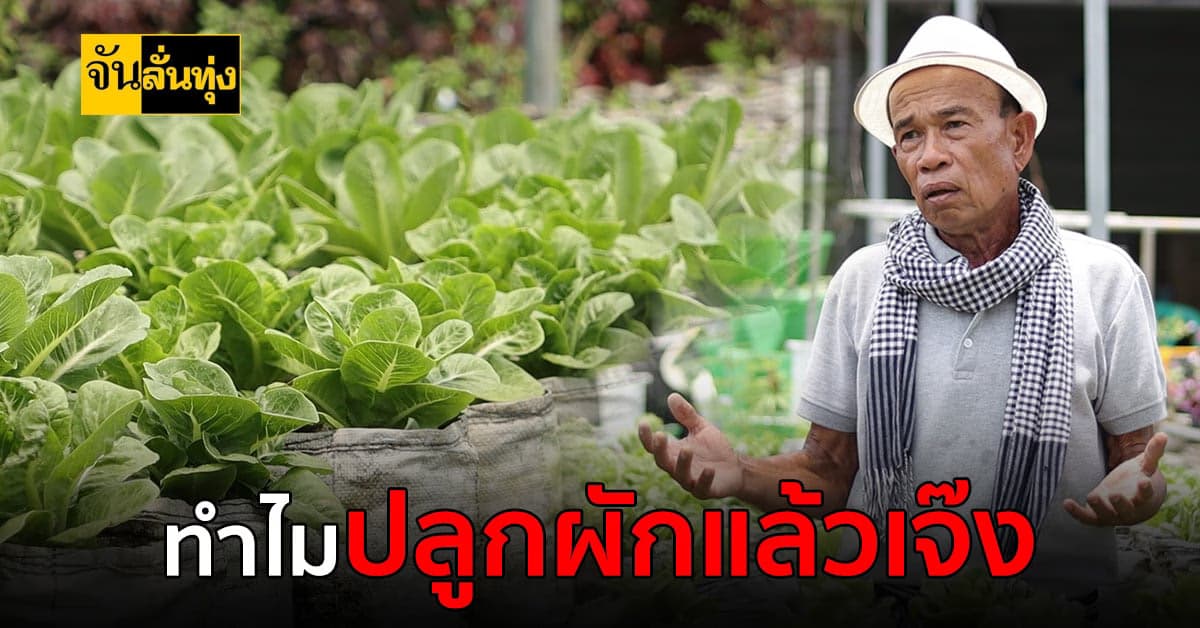 ปลูกผักมันง่าย แต่หาตลาดมันยาก อยากรู้ไหมทำอย่างไรถึงจะสำเร็จ