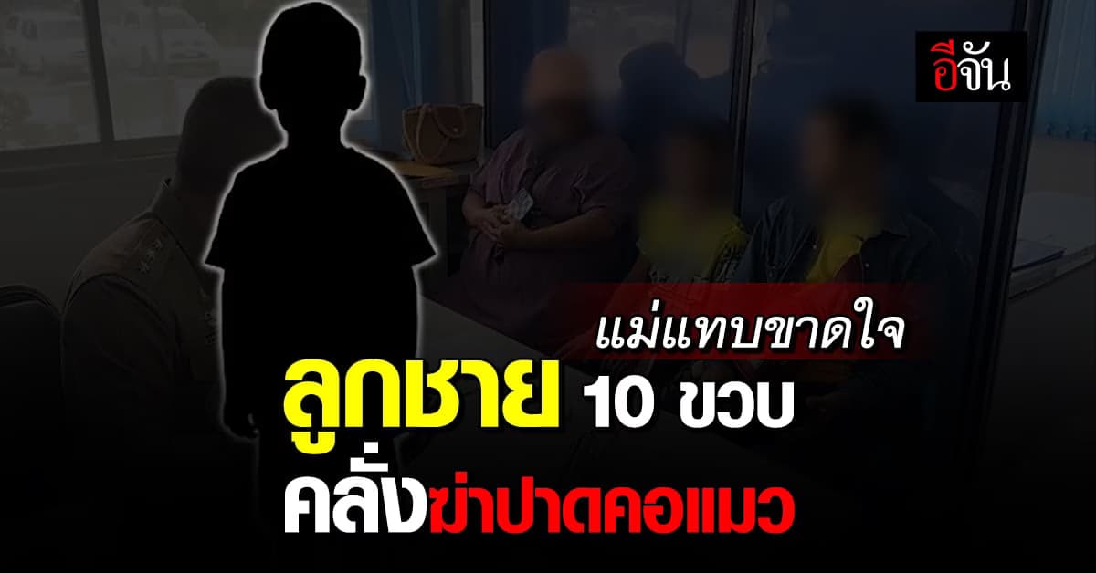 แม่ร้อนใจหนัก ลูกชายวัย 10 ขวบ อยู่ดีๆก็มีอาการคลุ้มคลั่งจะฆ่าปาดคอแมว