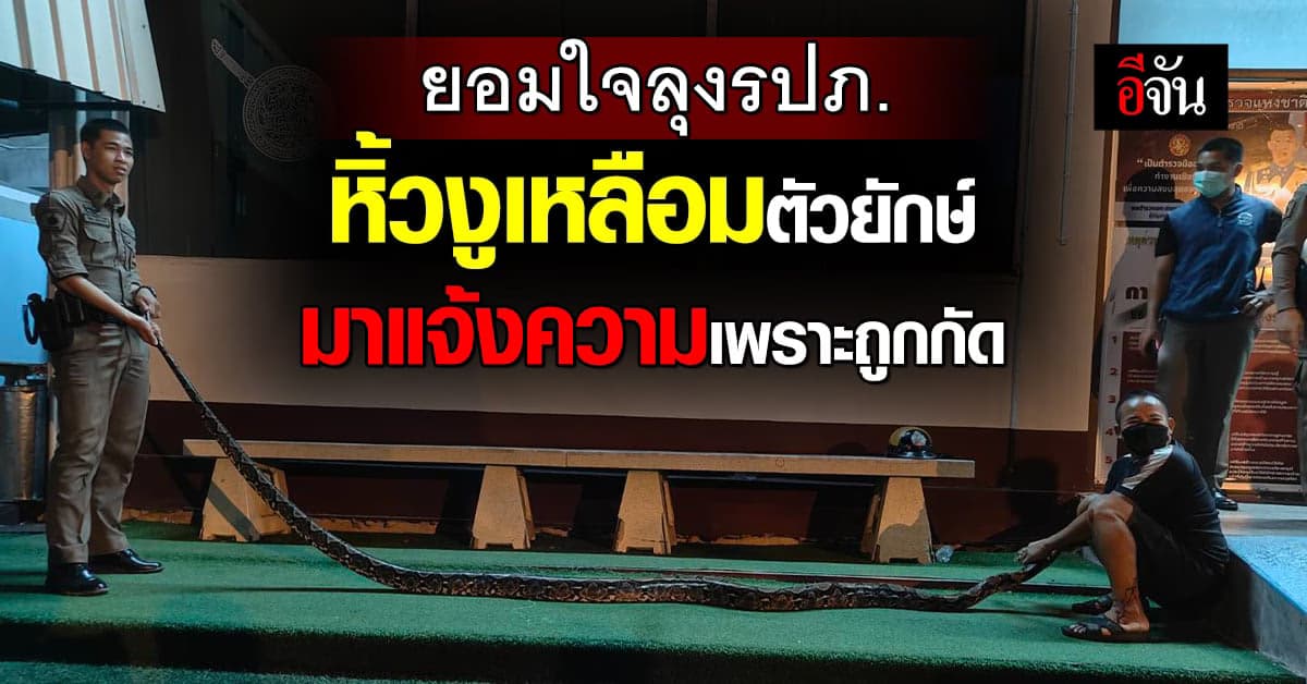 ยอมใจลุงรปภ. ถูกงูเหลือมกัด สู้จนสุดแรง จับงูมาแจ้งความต่อที่โรงพัก