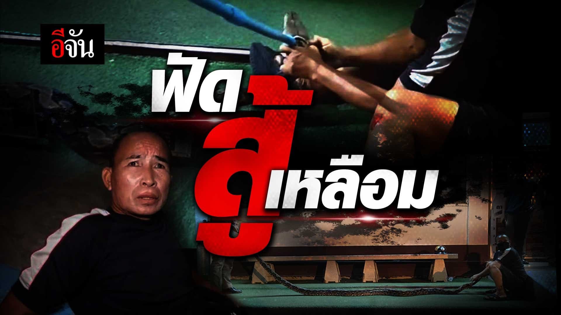 🎬 ฟัด สู้ เหลือม!!!