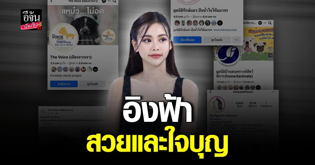 อิงฟ้า บริจาคเงิน 2 แสน ช่วยน้องหมา-แมว