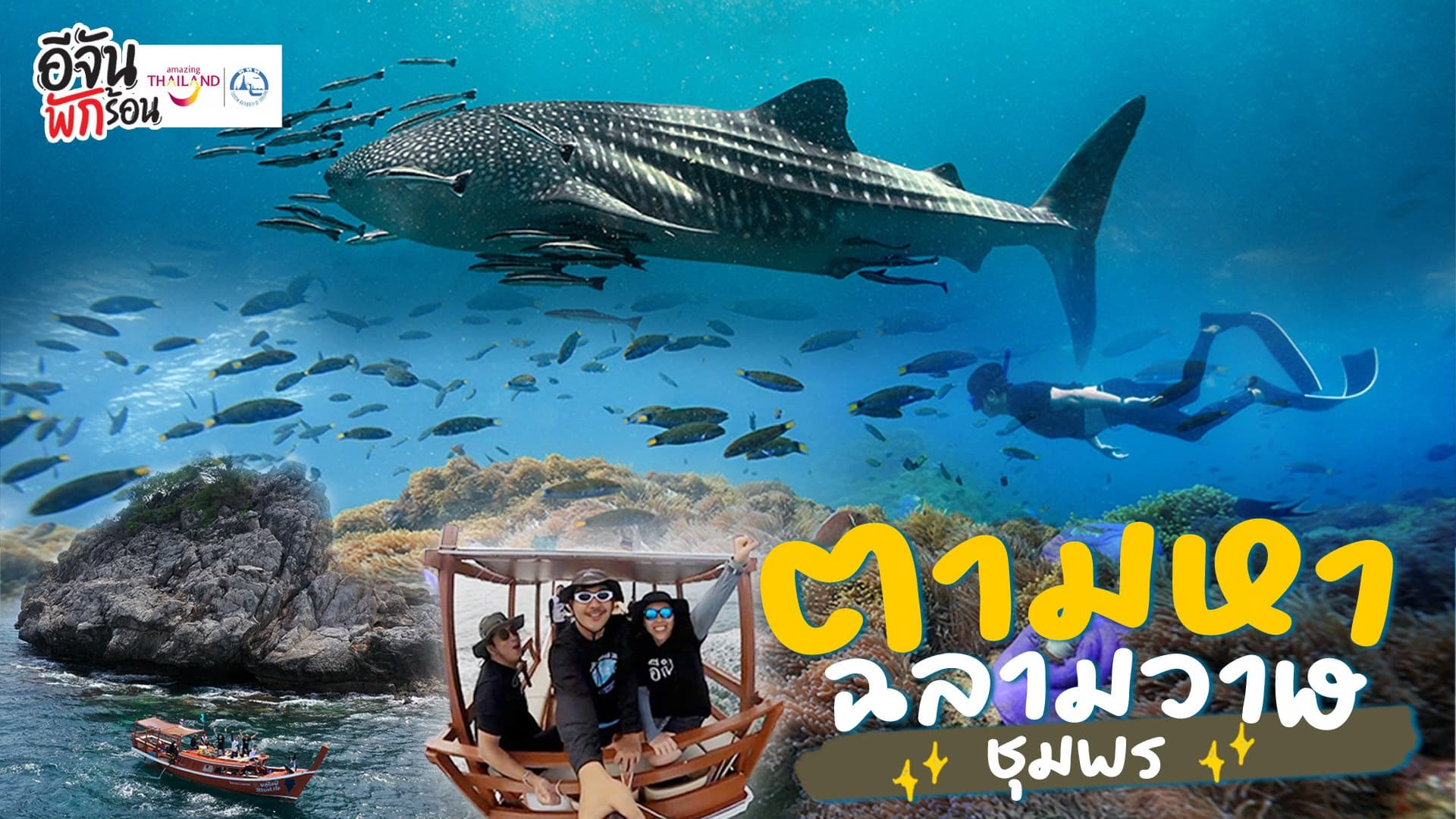 🎬 ตามหาฉลามวาฬ @ชุมพร