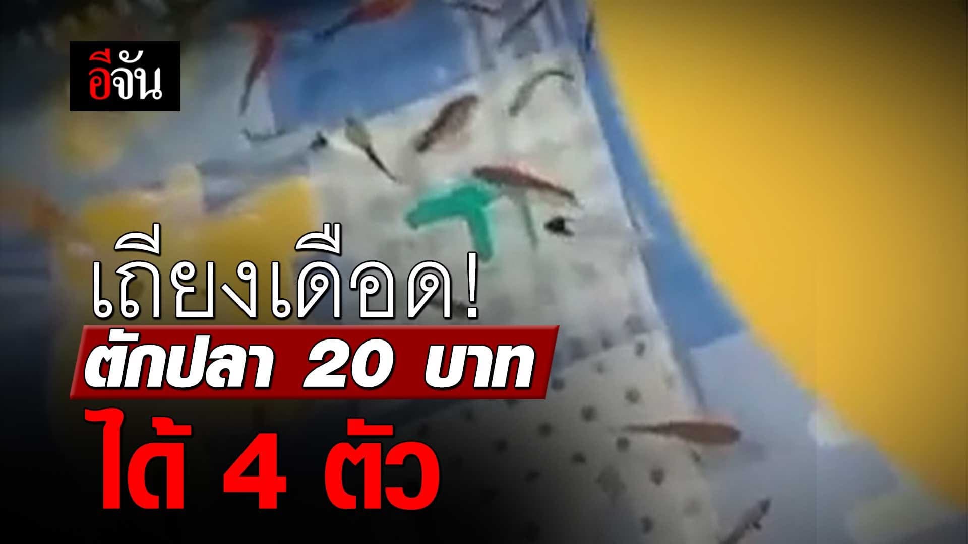 🎬 เถียงเดือด! ตักปลา 20 บาท ได้ 4 ตัว