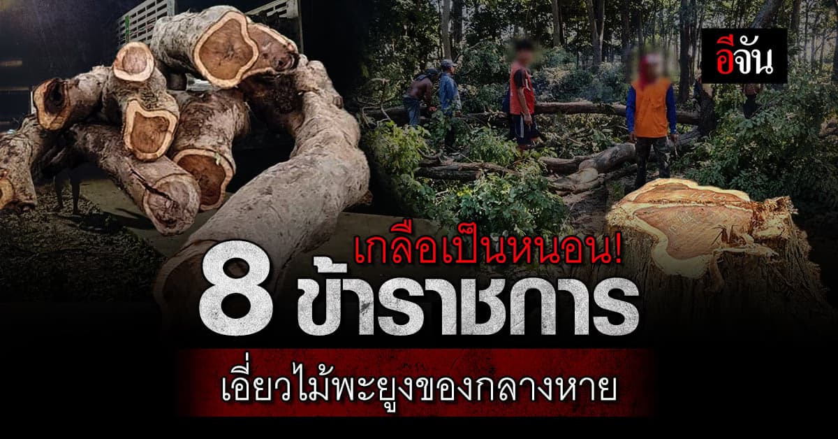 แจ้งข้อหา 8 ข้าราชการ เอี่ยวคดีไม้พะยูงของกลางหาย ส่ง ป.ป.ช.เดือด!