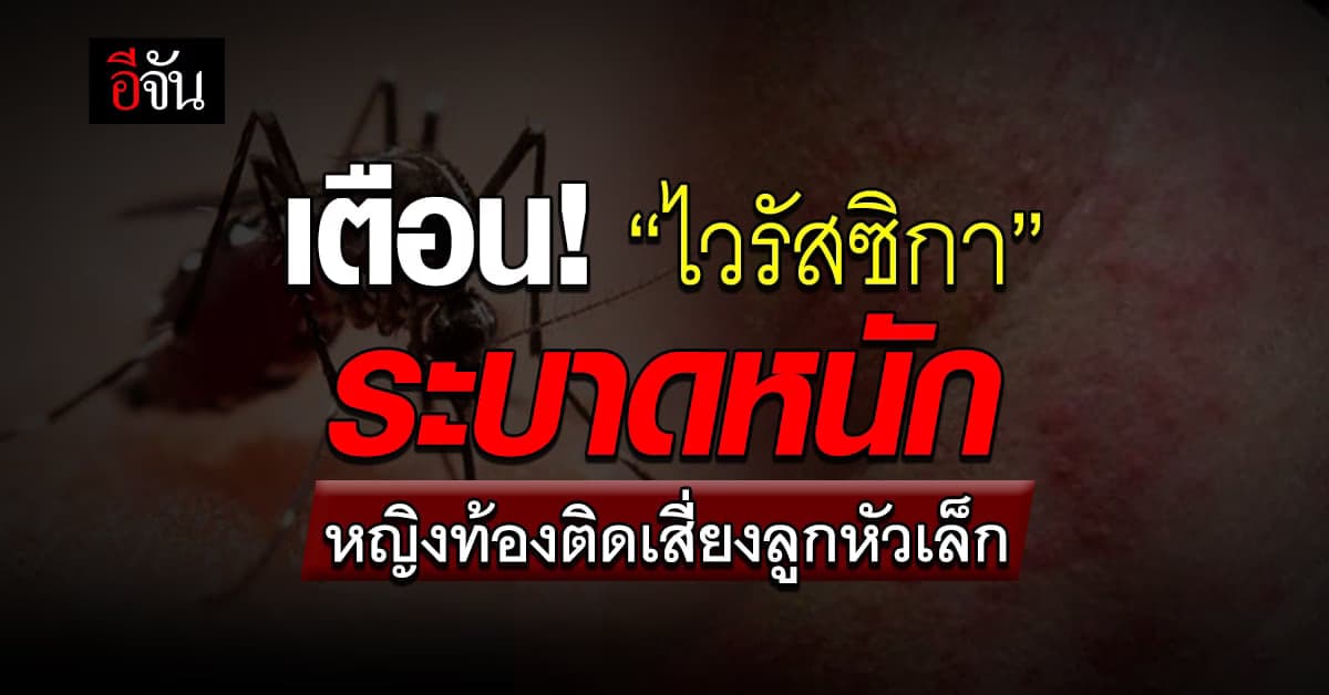 เตือน! ไวรัสซิกา ระบาดหนัก 4 สัปดาห์ ยอดพุ่ง 266 ราย