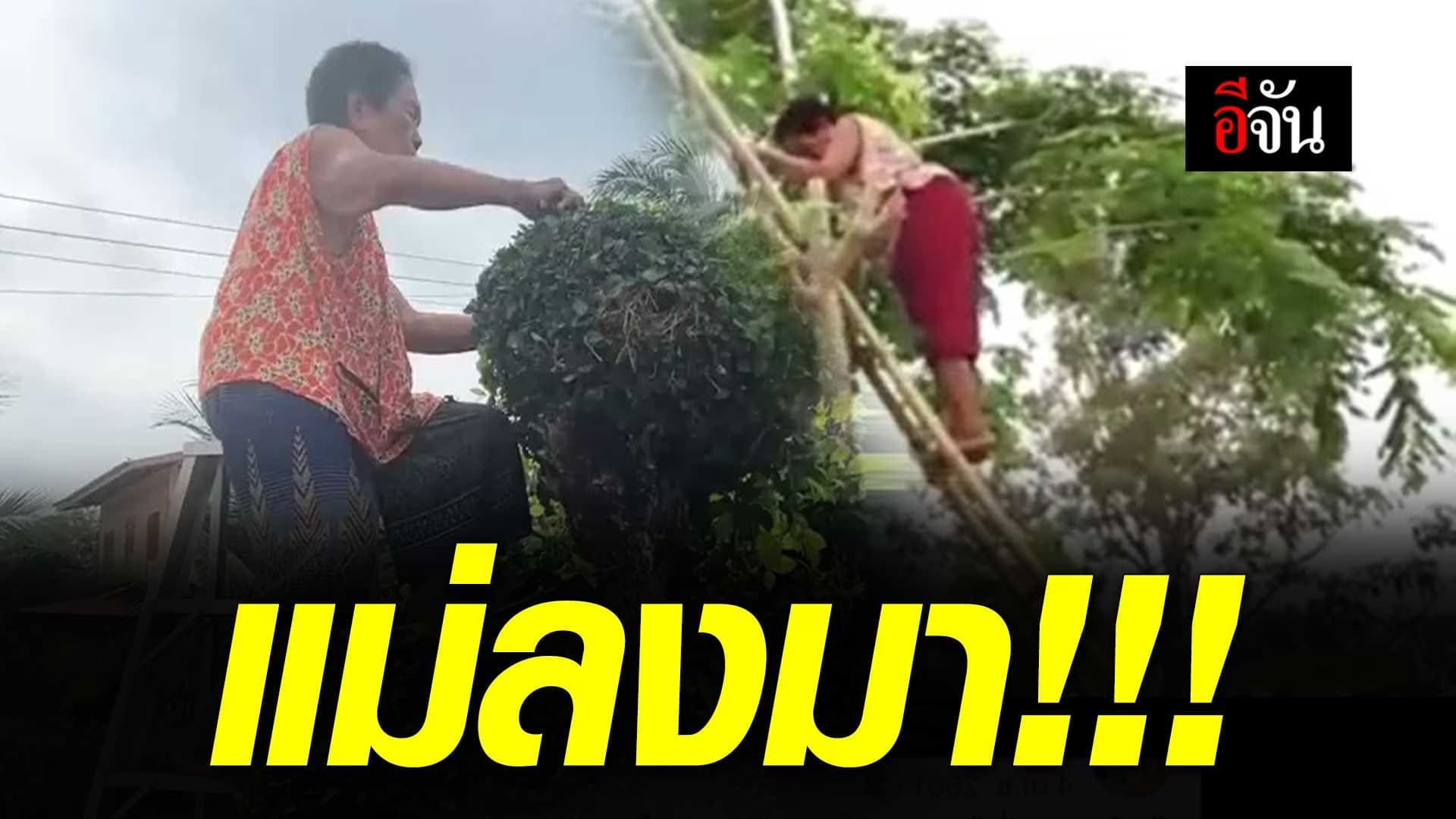 🎬 แม่ลงมา!!!